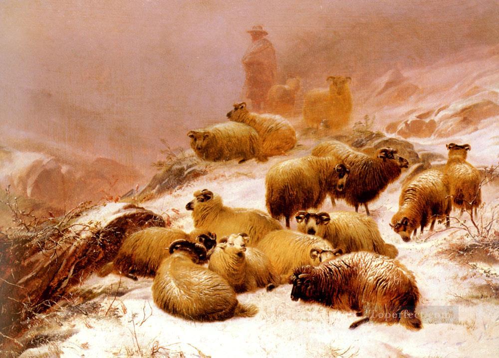 The Chill Of Winter sheep farm animals Thomas Sidney Cooper Oil Paintings